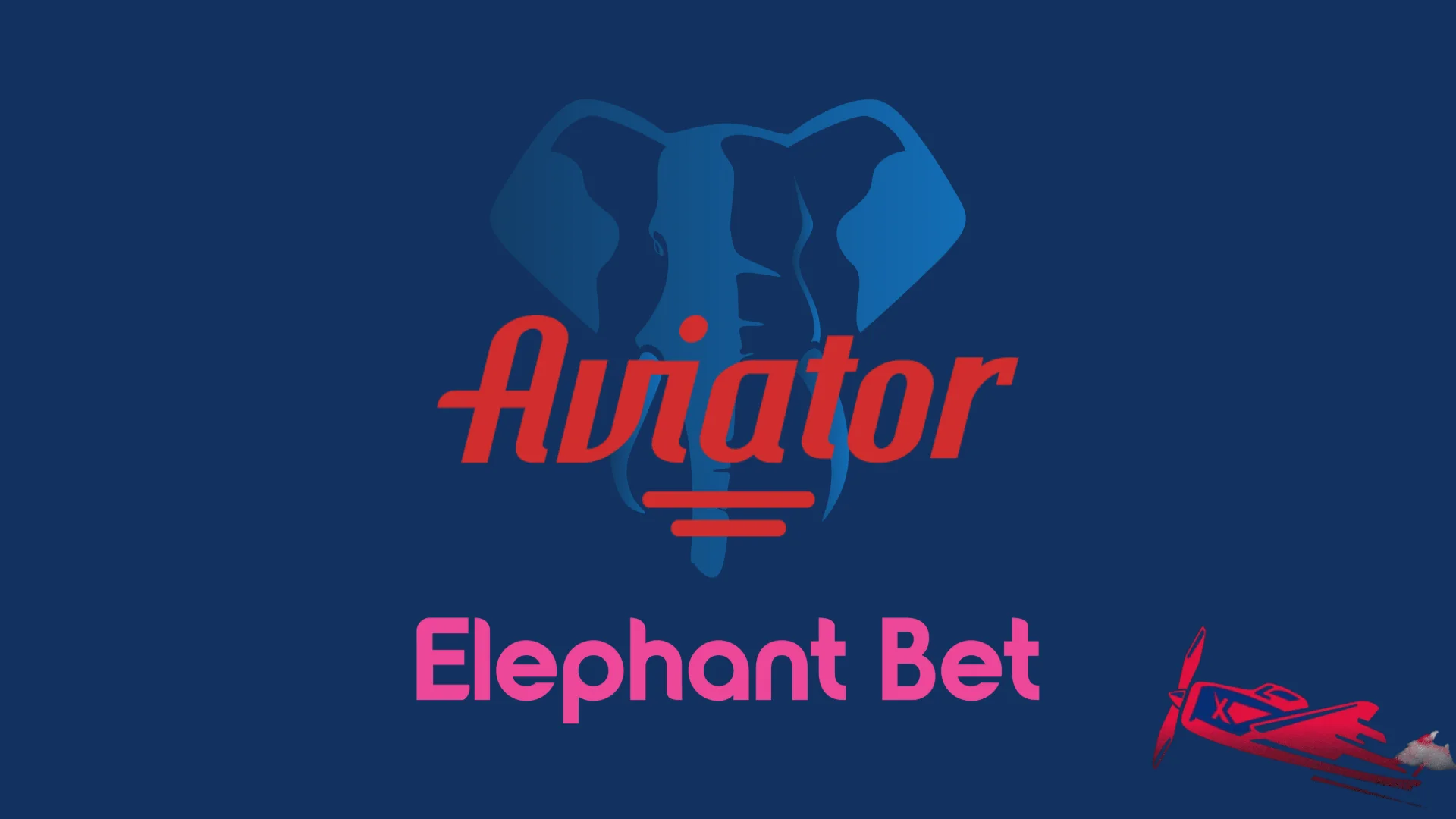 Aviator on Elephant Bet
